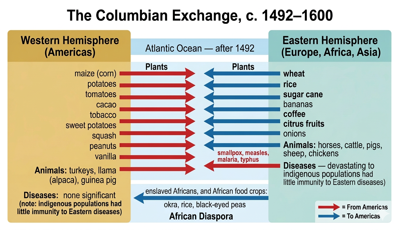 Diagram of the Columbian Exchange showing crops, animals, and diseases transferred between the Western Hemisphere (Americas) and the Eastern Hemisphere (Europe, Africa, Asia) after 1492, including the African diaspora.